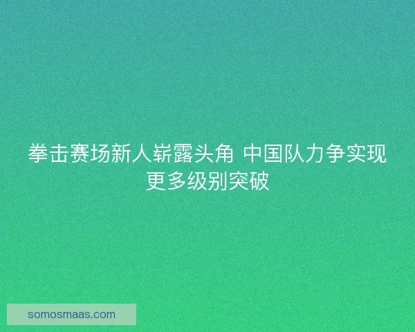 拳击赛场新人崭露头角 中国队力争实现更多级别突破
